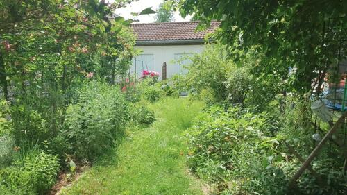 Foto - Einfamilienhaus in Dorfen zum Kaufen