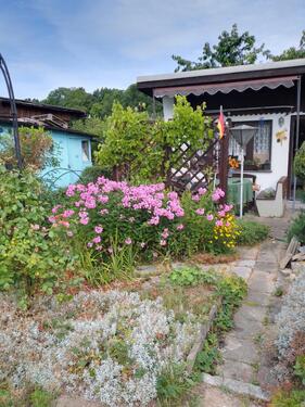 Foto - Grundst&uuml;ck zur Miete in Freiberg
