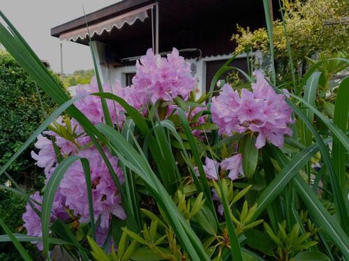 Foto - Grundst&uuml;ck in Freiberg zur Miete