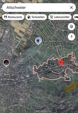 Foto - Weinbaugrundstück Altschweier (Bühl) – bewirtschaftet – 246 m²