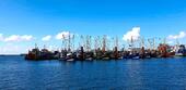 Foto - Ferienwohnung Nordsee Ostfriesland