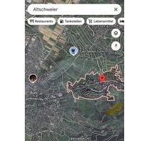 Bewirtschaftetes Weinbaugrundstück in Altschweier (Bühl) – 410 m² - Gaggenau