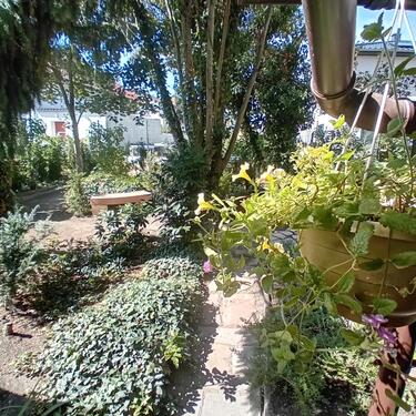 Foto - Weisenheim am Sand, 1-2Fam.Haus mit Garten, Scheune und Garage