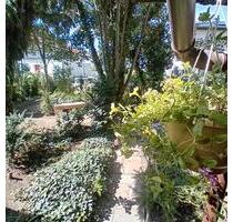 Weisenheim am Sand, 1-2Fam.Haus mit Garten, Scheune und Garage