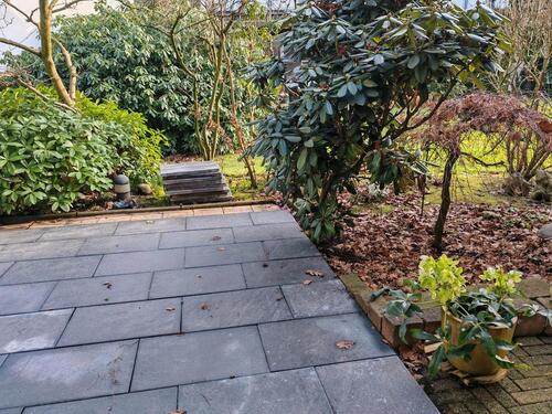 Foto - 3 Zimmer Erdgeschoßwohnung zur Miete in Essen