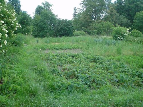 Foto - Einfamilienhaus zum Kaufen in Gnoien