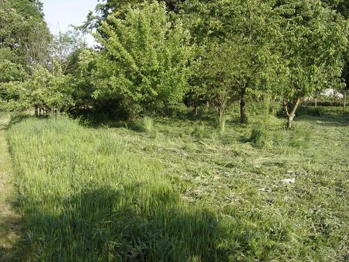 Foto - Einfamilienhaus in Gnoien