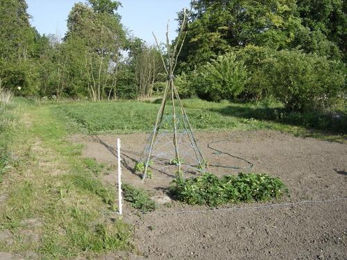 Foto - Einfamilienhaus in Gnoien zum Kaufen