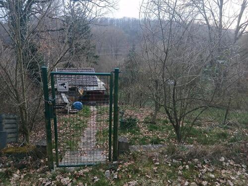 Foto - Gartengrundstück zu vermieten - 100,00&nbsp;EUR Kaltmiete, ca.&nbsp; 0,00&nbsp;m&sup2;