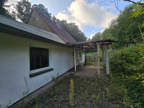 Foto - Einfamilienhaus in Heringen/Helme