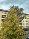 Foto - 2-Zimmer Wohnung Zehlendorf von privat