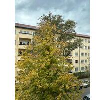 2-Zimmer Wohnung Zehlendorf von privat - Berlin Steglitz-Zehlendorf