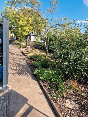 Foto - Grundst&uuml;ck in Eisleben (Lutherstadt)