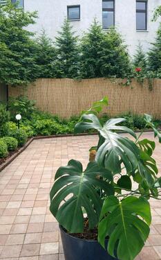 Foto - Schöne sanierte 1-Zimmer-Wohnung zur Untermiete mit Terrasse