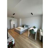 Stilvolles 1-Zimmer-Apartment in Nürnberg