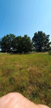 Foto - Grundst&uuml;ck in Baruth/Mark