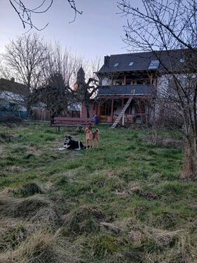 Foto - 1 Zimmer Erdgeschoßwohnung in Gießen