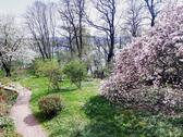 Foto - Villa in Meißen zum Kaufen