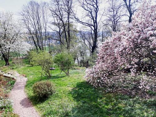 Foto - Villa in Meißen zum Kaufen