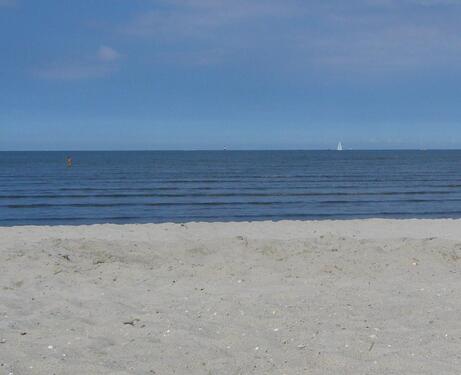 Foto - Nordsee Ferienwohnung mit Garten Esens Bensersiel Hunde