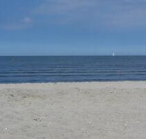 Nordsee Ferienwohnung mit Garten Esens Bensersiel Hunde