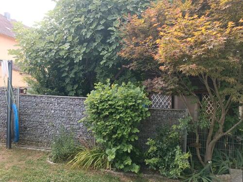 Foto - Maisonettenwohnung in Lahr (Schwarzwald) zum Kaufen