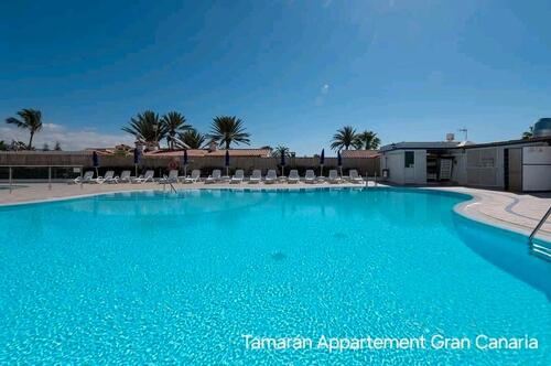 Foto - andere zur Miete in Engen