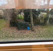 Schöne, ruhige Wohnung in Waldnähe – möbliert - Recklinghausen Berghausen