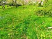 Foto - Wiesengrundstücke zu verpachten