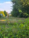 Foto - 7 Zimmer Einfamilienhaus zum Kaufen in Hüllhorst