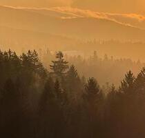 Renovierte 1-Whg. 38 qm - Vermietung, Feriendomizil, Erstwohnsitz - Neureichenau