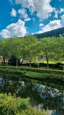 Foto - 4 ZKB in Calmbach Bad Wildbad - 1.050,00&nbsp;EUR Kaltmiete, ca.&nbsp; 94,00&nbsp;m&sup2;