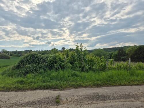 Foto - 480 m2 Gartengrundstück Bonn-Lannesdorf -ein Stück Ruhe im Grünen