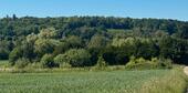 Foto - Grundst&uuml;ck zur Miete in Bonn