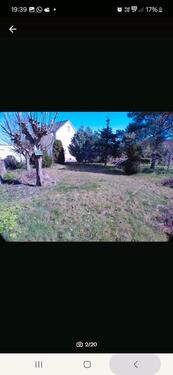 Foto - Einfamilienhaus in Belgern-Schildau