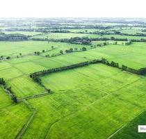 Ohne Provision Land- Forstwirtschaft in 85391 Allershausen