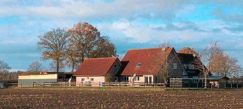 Foto - Mehrfamilienhaus, Wohnhaus in Emlichheim zum Kaufen