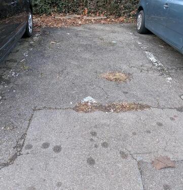 Foto - PKW PARKPLATZ - 50,00&nbsp;EUR Miete,