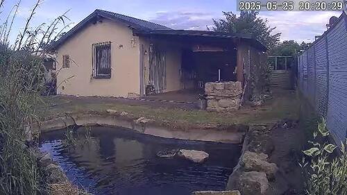 Foto - Garten im KGV Waldauer Wiesen - 4.890,00&nbsp;EUR Kaltmiete, ca.&nbsp; 0,00&nbsp;m&sup2;