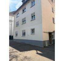 3-Zimmer-Wohnung im EG, frisch renoviert mit Klimaanlage - Esslingen am Neckar Pliensauvorstadt