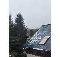 Kleine, kompakte 2- Raumwohnung in Eibenstock OT