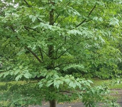 Foto - DG Wohnung Stadtparkviertel (Anfang 2026 VHS)