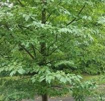 DG Wohnung Stadtparkviertel (Anfang 2026 VHS) - Bochum Bochum-Nord