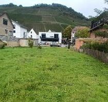 GartenGartengrundstück in Dernau-Marienthal zur Pacht