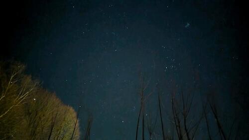 Foto - 5 Zimmer Erdgeschoßwohnung in Meschede