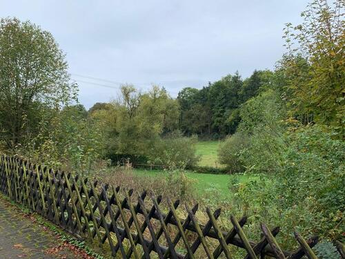 Foto - Grundst&uuml;ck zur Miete in Tiefenbach