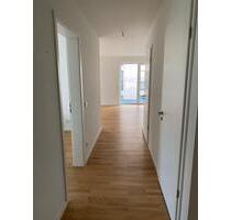 Wohnung im Elbstieg zum 01.12.2025 zu vermieten - Geesthacht