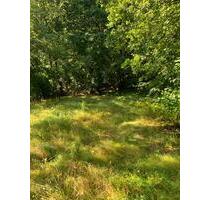 Freizeitgrundstück, Wiesengrundstück, Waldgrundstück - Andernach