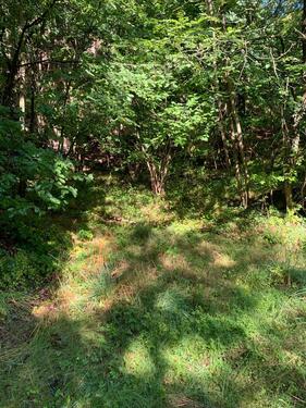 Foto - Grundst&uuml;ck in Andernach