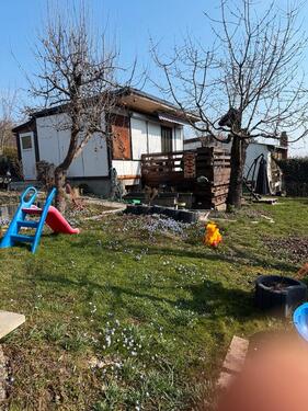 Foto - 300qm Pachtgarten in Erfurt nähe Friedhof